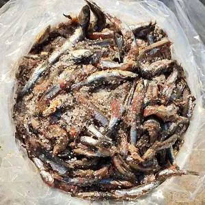 기장 멸치젓갈 김장 액젓 생멸치 15kg , 1개