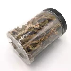 동결 건조 갯지렁이 청갯지렁이 15g 낚시미끼