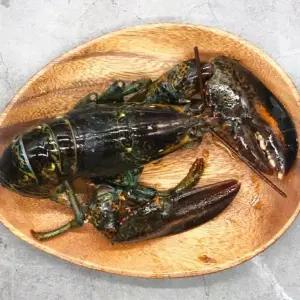 캐나다 활 랍스타 랍스터 2미 1kg