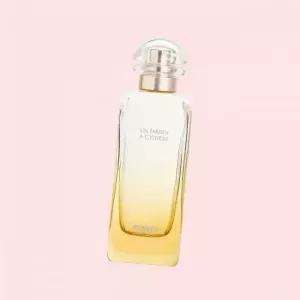 에르메스 운 자르뎅 아 시테르 오 드 뚜왈렛 100ml 4435224