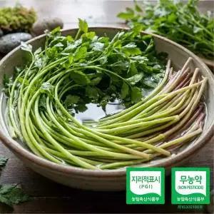 국내산 청도 한재 미나리 무농약 선별 미나리 1kg