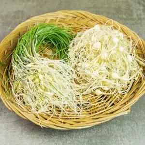 국내산 노지 세척 손질 달래 1kg 농장직송 자연산 당일수확 산지직송