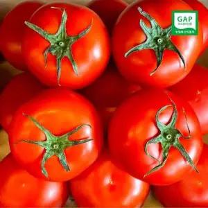 [산지직송] GAP인증 충남부여 정품 유럽종 완숙토마토 2kg