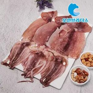 촉촉한 반건조 오징어 파품 1kg