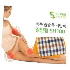 BN 세종 참숯옥 맥반석 찜질기 SH-100 일반형
