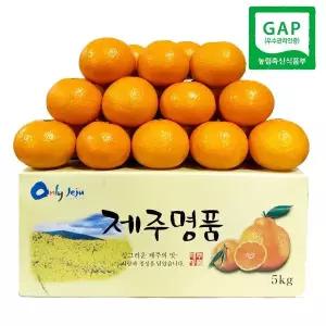 제주 홍귤 GAP 고당도 감귤 세미놀 10kg 중소과