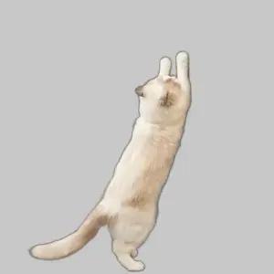 부착형 고양이 스크래쳐 카페트 코너 장난감 캣타워