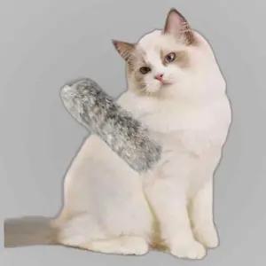 PET 고양이 오뎅꼬치 스틱 낚시대 장난감 막대