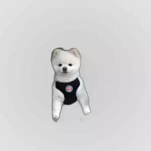 패리스독 쁘띠 올데이카시트 (베이지)