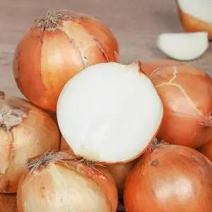 [셀러허브][아침애딴] 26년 국내산 햇 양파(중) 2kg (S49533418)