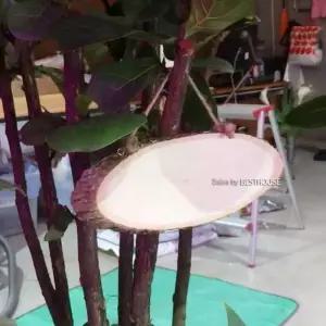 [라일리] Rly 화분 우드 이름표 대 우드이름판 원목이름표 원목