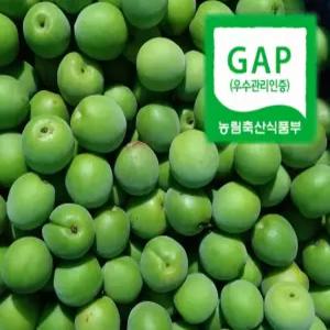 매실 5-10kg / 청매실 황매실 홍매실 (청 5월29부터*황 6월20부터)