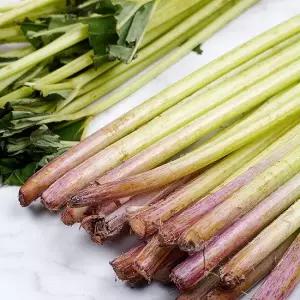 늘푸른농산 머위대 2kg-상