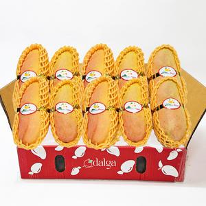 달가 태국 마하차녹 무지개 망고 5kg (10~16입)
