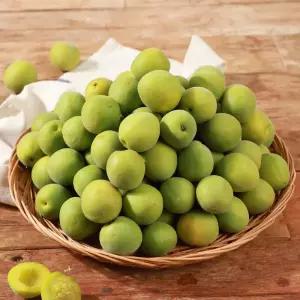 [롯데백화점]인정식탁 (6월8일 순차출고) 광양매화골매실 매실 왕특 10kg(청매실 엑기스용)