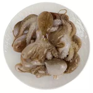 냉동 쭈꾸미 2.16kg 업소용 대용량 볶음용 벌크