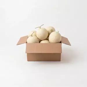 프리미엄 가야백자 멜론 3개 메론 허니듀 하니원
