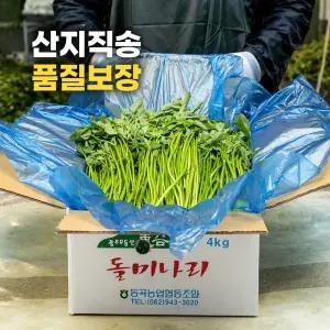 품질보장 산지직송 향긋한 광주 돌미나리 1kg,2kg
