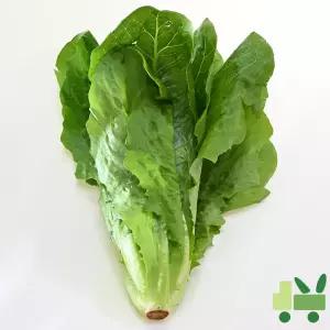 통로메인 6Kg