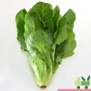 통로메인 4Kg