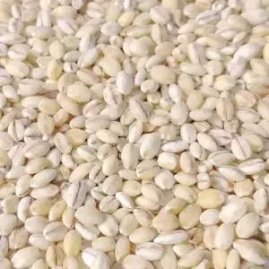 군산 흰찰쌀보리4kg 흰찰보리 찰보리