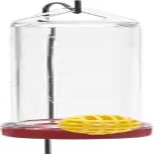 매달린 막대가 있는 퍼키펫 화분 상자 플라스틱 벌새 모이통 3 Fl Oz 용량 - 야외용 215P