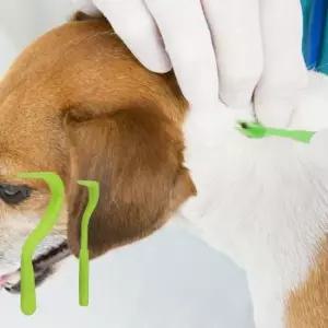 강아지진드기제거 PET 강아지 진드기 제거 핀셋 집게 야외 산책