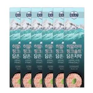 페리오 히말라야 핑크솔트 치약(아이스카밍)100g 6개_25206896