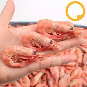 자숙 찐 북쪽분홍새우 5kg(120/170) (약600~850마리)