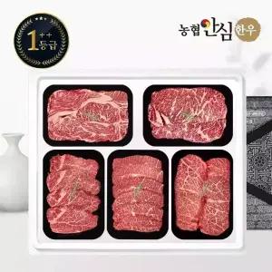 [농협안심한우] 1++등급 한우 선물세트 구이1호 2kg (등/채/안/특/살)