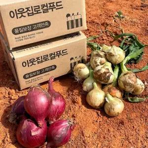 26년 무안 햇 양파 적양파 자색양파 3kg 5kg