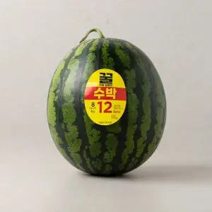 꿀처럼 달콤한 수박 7~8kg미만