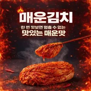 매운김치 10kg
