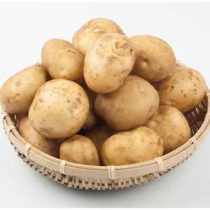 수미감자 왕특(180-280g내외) 3kg