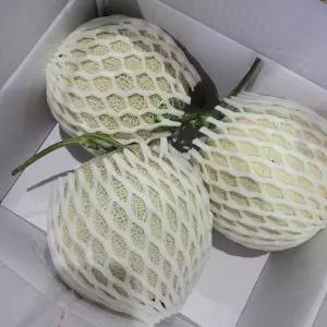 유나네농장 고당도 머스크 세지 메론 멜론 노란색박스 3수 5KG 선물세트