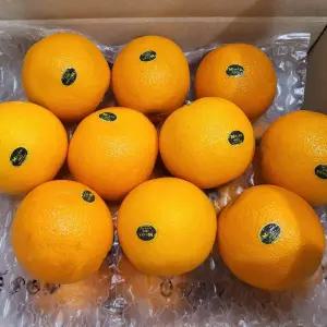 네이블 블랙라벨 오렌지 1과당 230g 중대과 10과