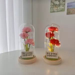 파티굿즈 어버이날 LED 카네이션+쇼핑백 스승의날