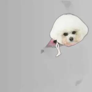 강아지 끌레 메쉬 이동가방 슬링백 파스텔핑크