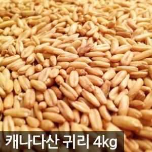 캐나다산 귀리4kg(2kgx2개) 귀리쌀 2025년산