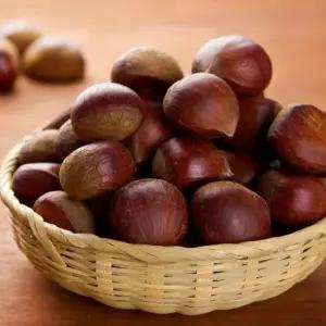 [산지직송] 국내산 고소한 부여 알밤 햇밤 3kg 대