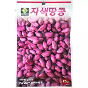 자색땅콩 20g 다농 26년 땅콩씨앗