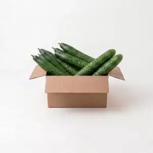 프리미엄 가시오이 3kg 아삭아삭 청오이