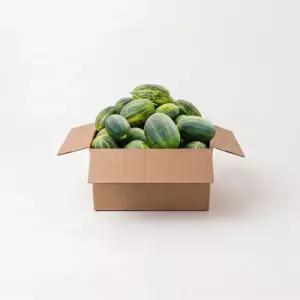 프리미엄 파파야 멜론 5kg 메론 개구리참외