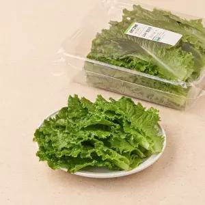 GAP 청상추 200g