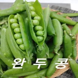 완두콩 국내산 햇완두콩 1관 4kg 내외 야채맘