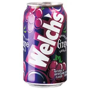 웰치스 포도 355ml x 24캔