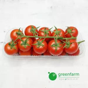 송이토마토(750g)