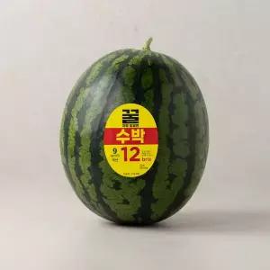 꿀처럼 달콤한 수박 8~9kg미만