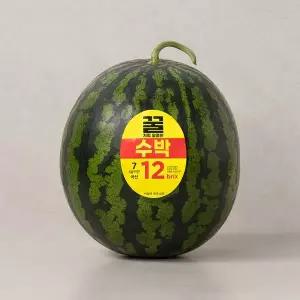 꿀처럼 달콤한 수박 6~7kg미만