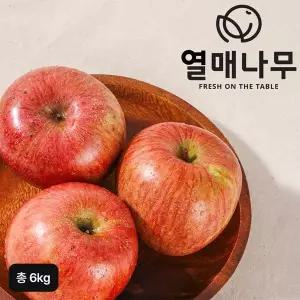 [NS홈쇼핑]25년 햇 열매나무 못난이 부사사과 3kg+3kg(총 6kg)[35582370]